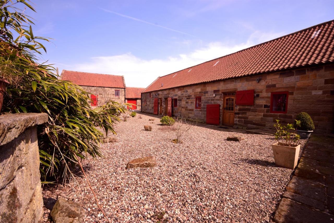 Sebright Cottage, Borrowby Farm Cottages Staithes Eksteriør billede