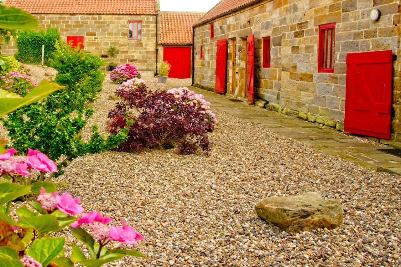 Sebright Cottage, Borrowby Farm Cottages Staithes Eksteriør billede