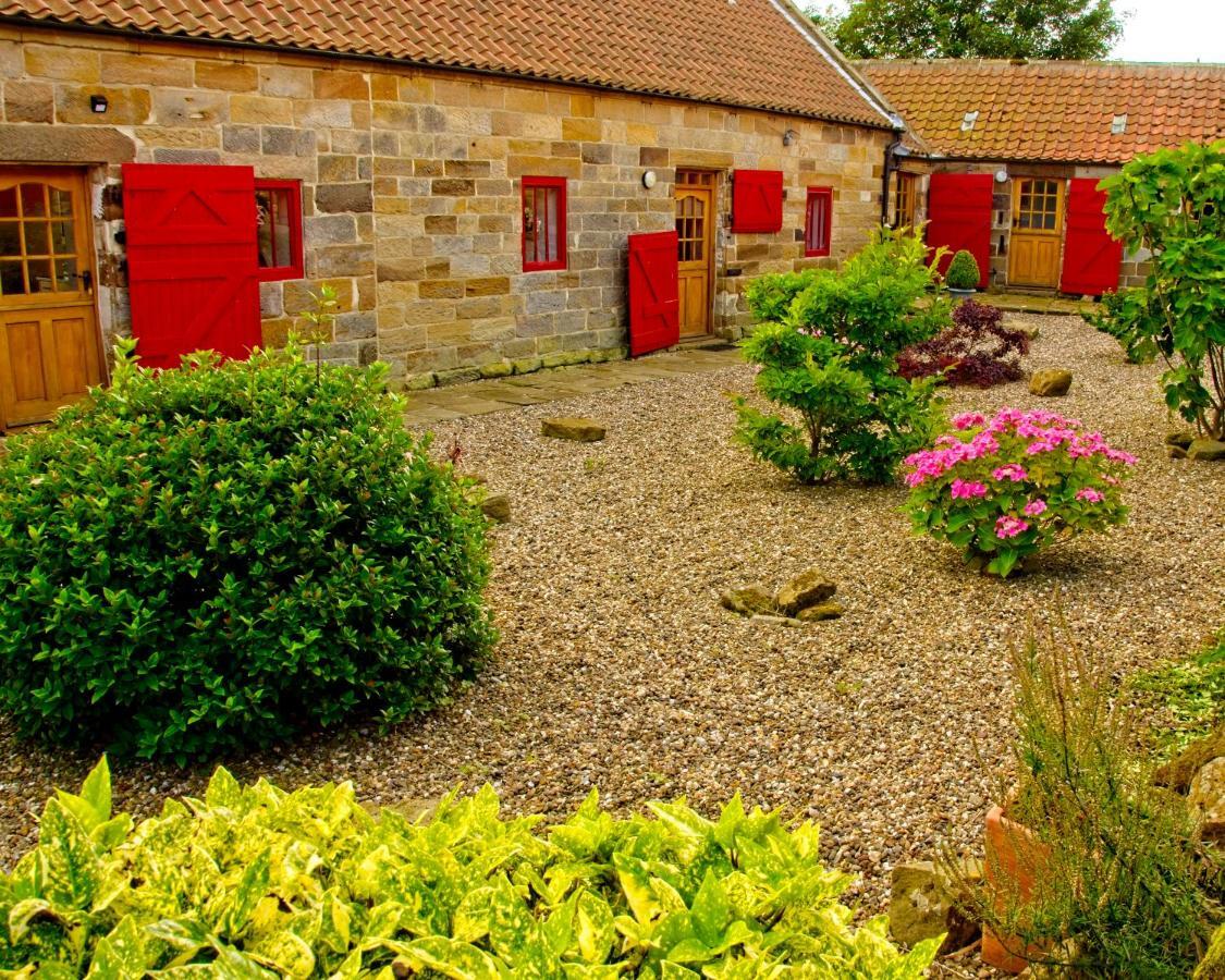 Sebright Cottage, Borrowby Farm Cottages Staithes Eksteriør billede