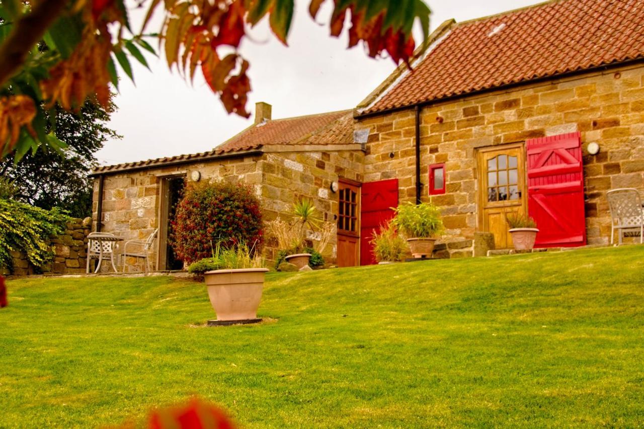 Sebright Cottage, Borrowby Farm Cottages Staithes Eksteriør billede
